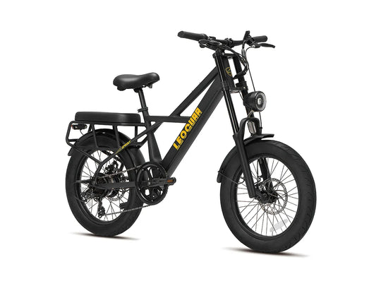 Sprint Fat Tire Utility Ebike