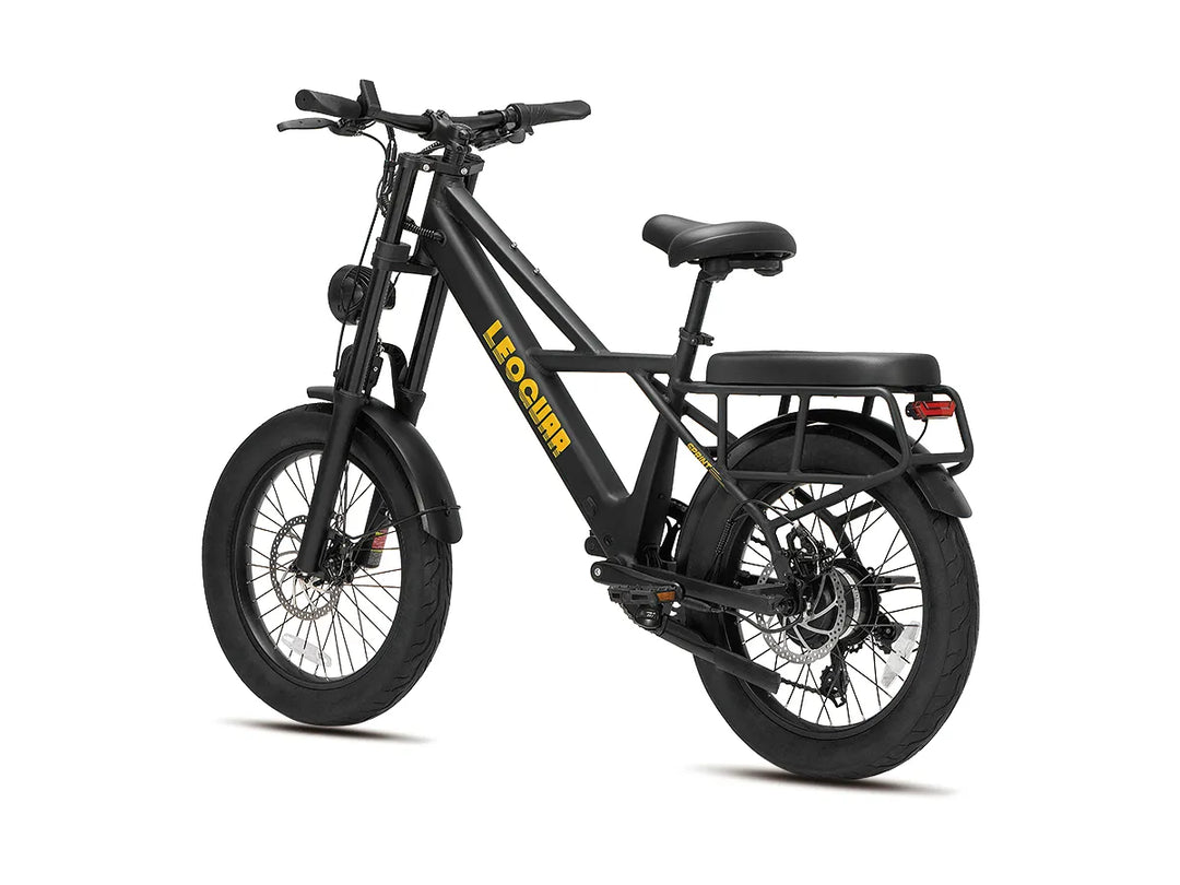 Sprint Fat Tire Utility Ebike