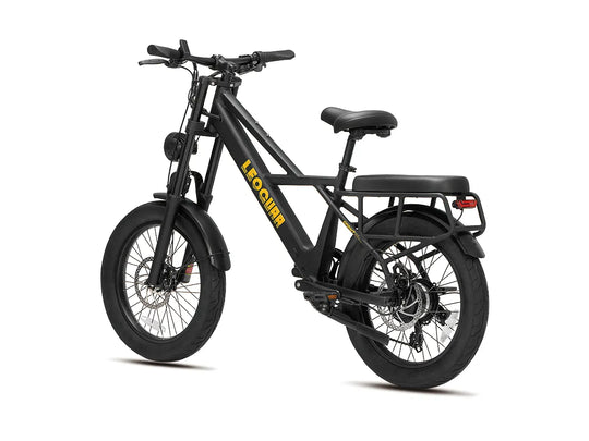 Sprint Fat Tire Utility Ebike