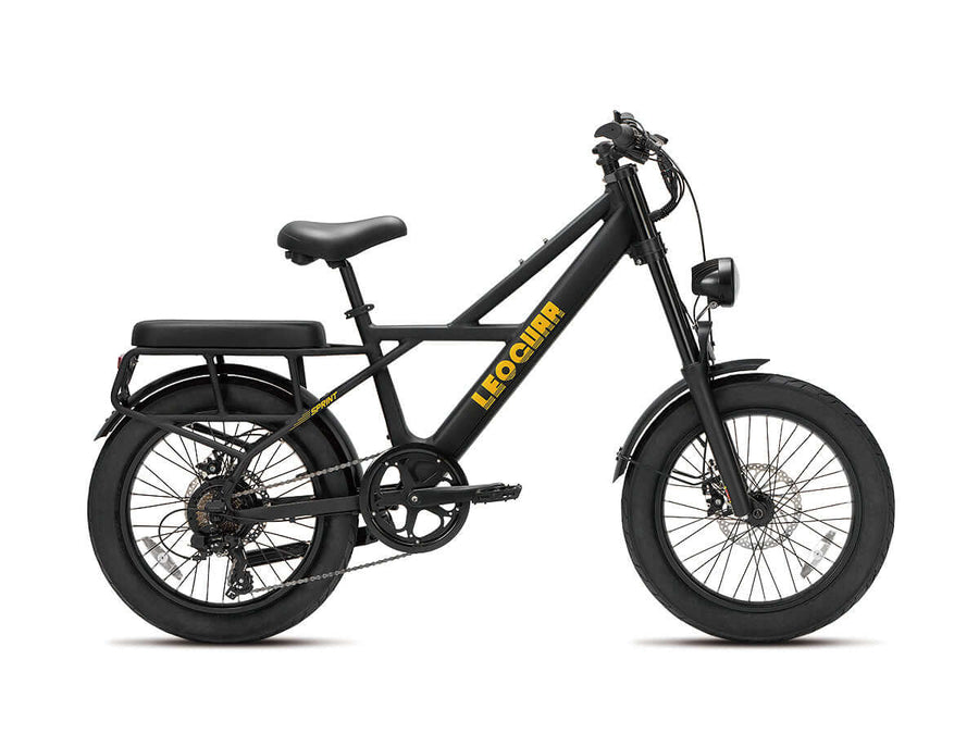 Sprint fat tire electric utility bike side view