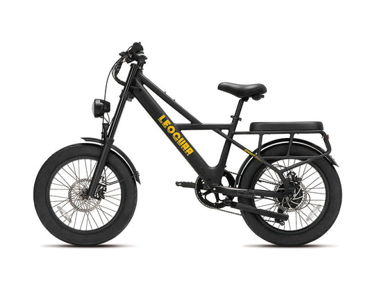 Right-side view of fat tire utility ebike