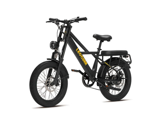 Front view of Sprint fat tire ebike