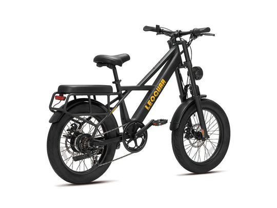 Rear view of electric utility fat tire bike