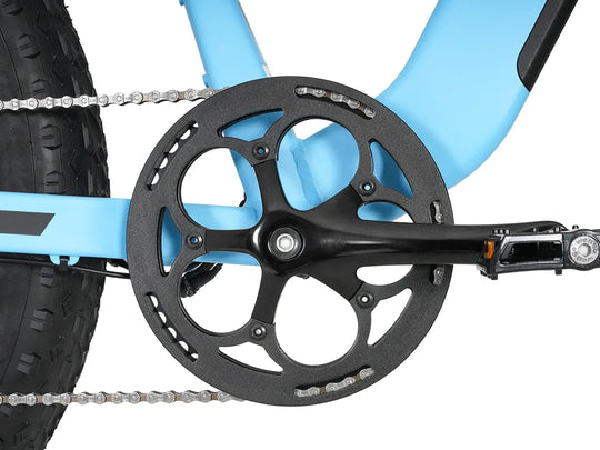 Integrated Crankset for Strider Fat Tire Ebike