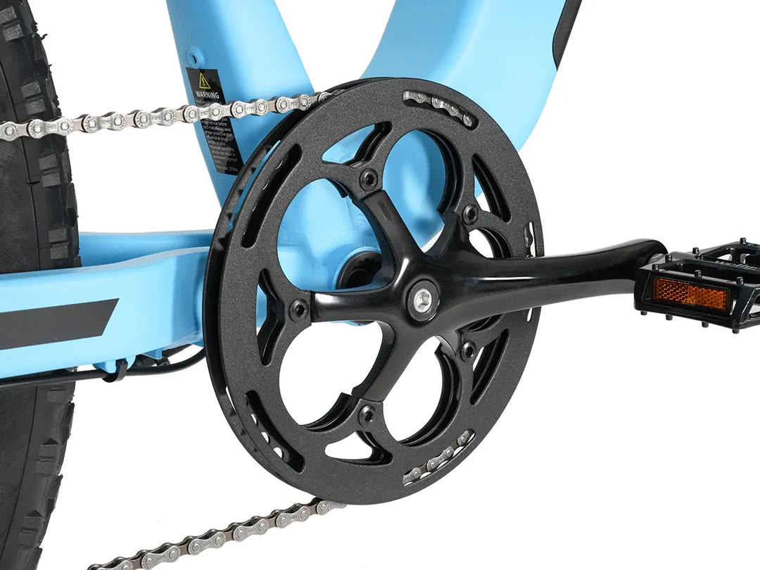 Integrated Crankset for Strider Fat Tire Ebike