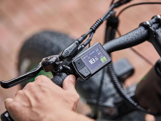 electric mountain bike display