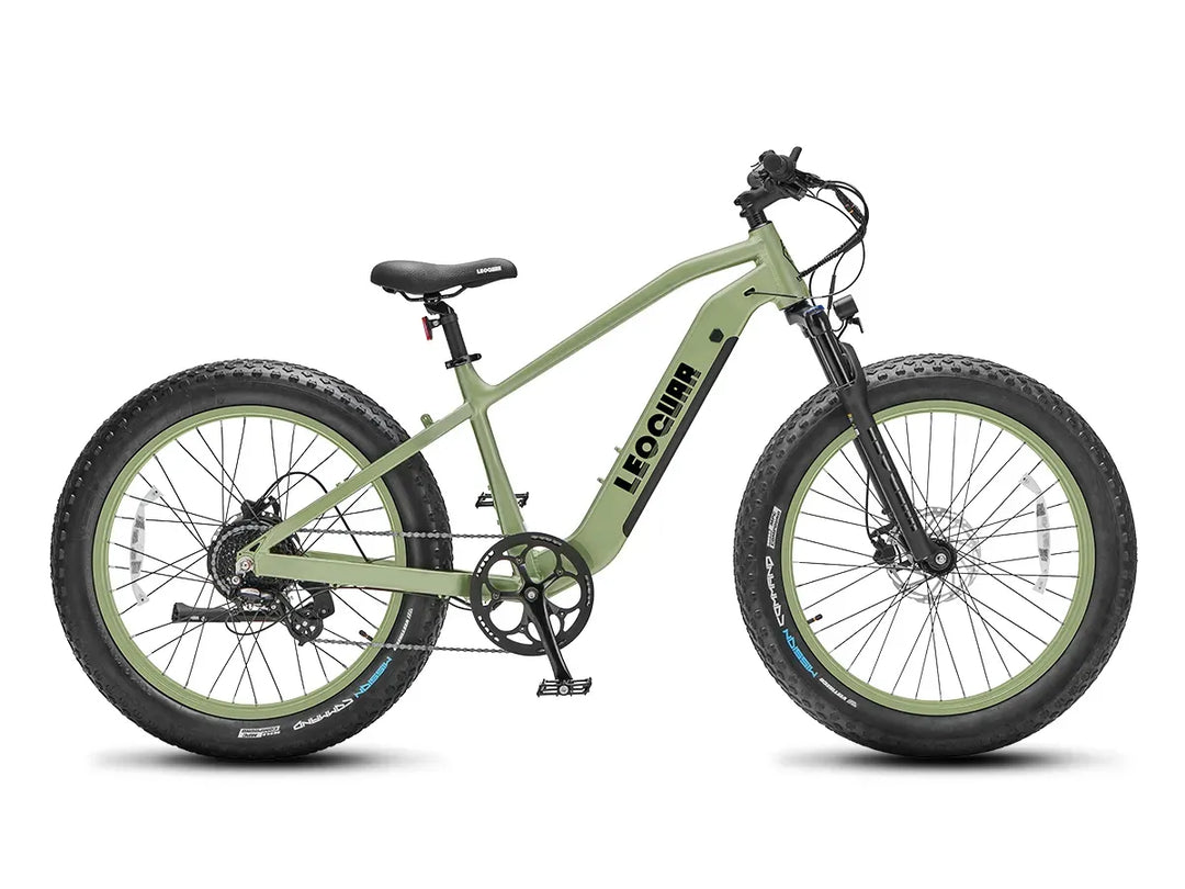 Fathawk SO Fat Tire Ebike