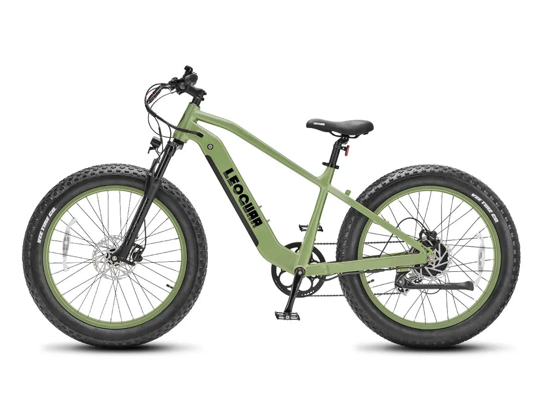 Fathawk SO Fat Tire Ebike