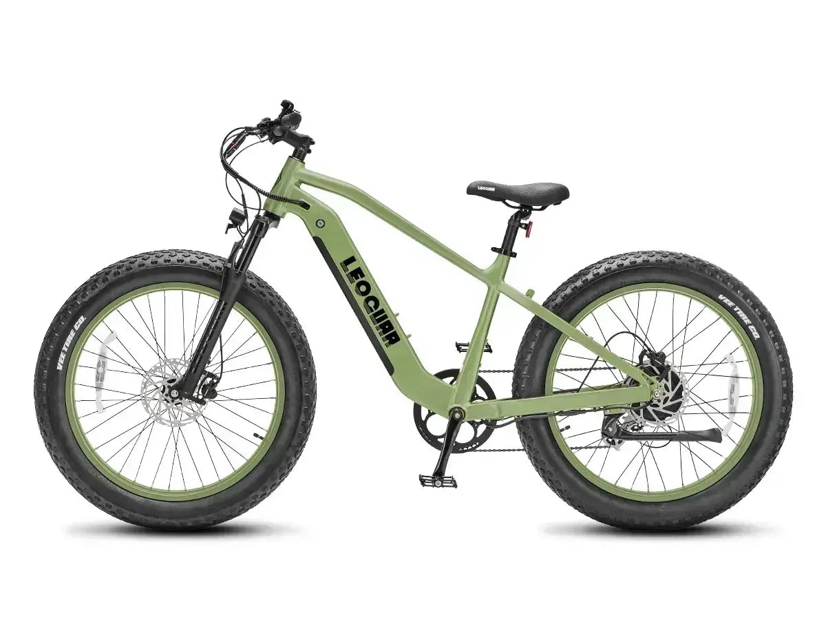 electric fat tire bike