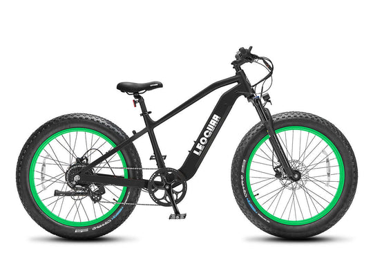 Fastron SO ebike pair in outdoor setting, showing battery and wide tire details