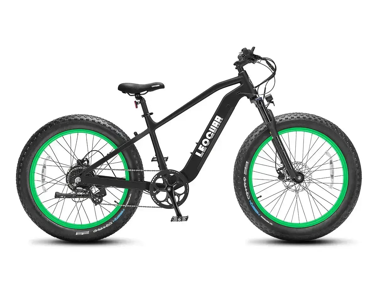 adult fat tire electric bike