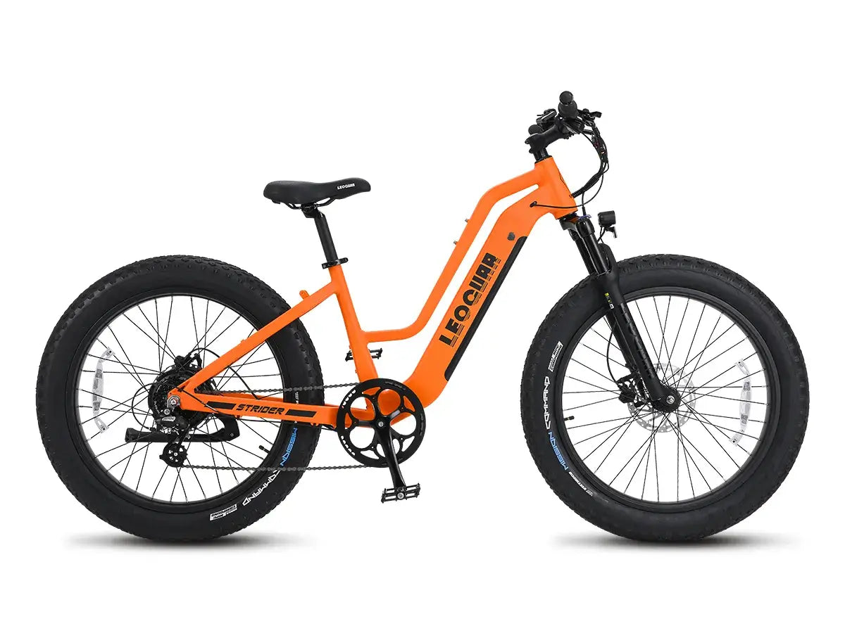 How Fast Do Three Classes Ebikes Go? | Leoguar Bike