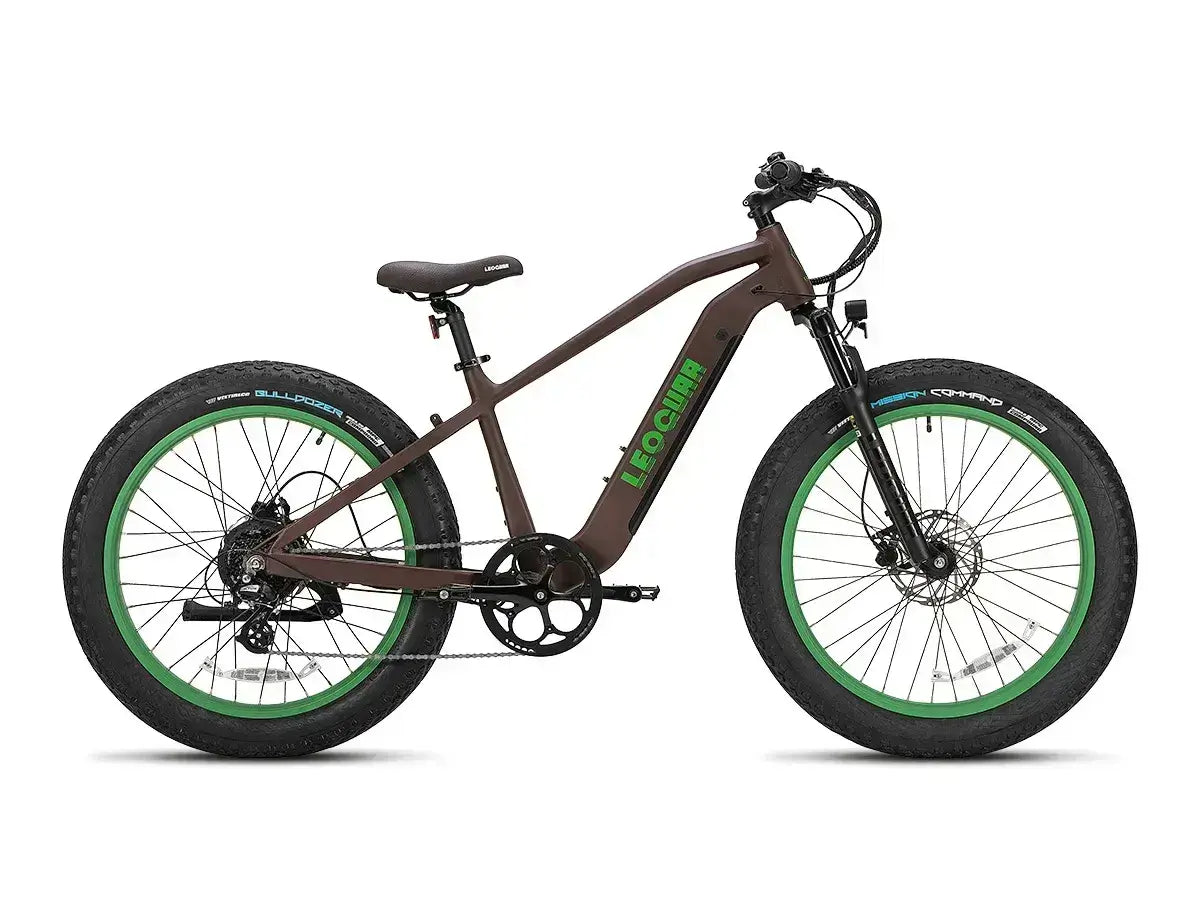 fat tire electric bike
