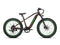 Fastron SO Fat Tire Ebike