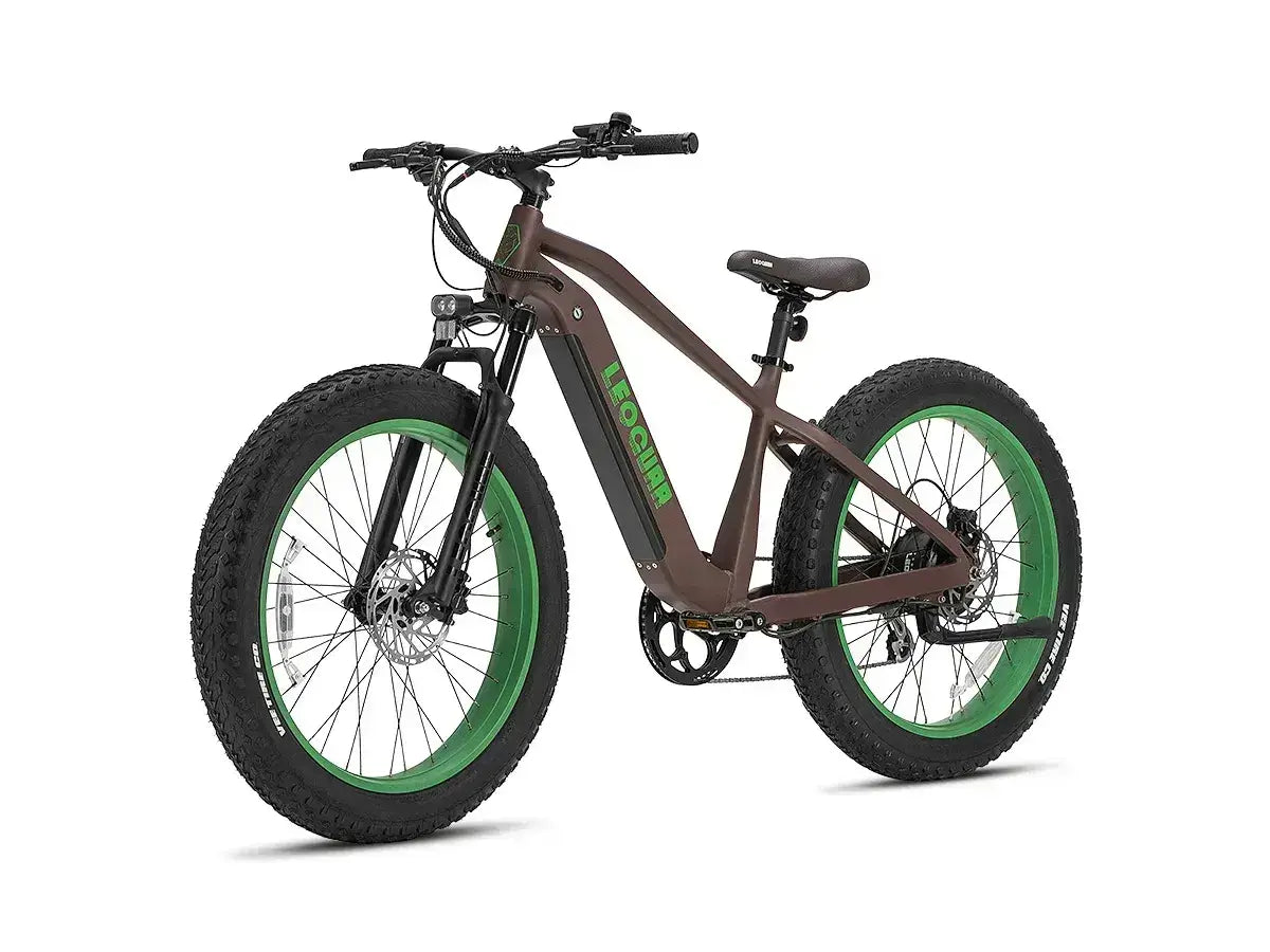 adult fat tire electric bike