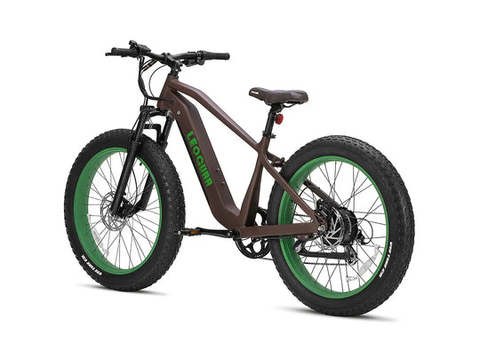 Fathawk SO Fat Tire Ebike