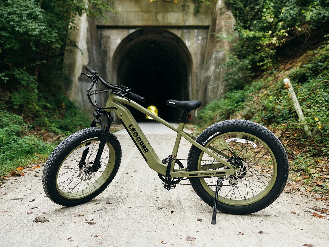 avocado green Strider SO fat tire ebike