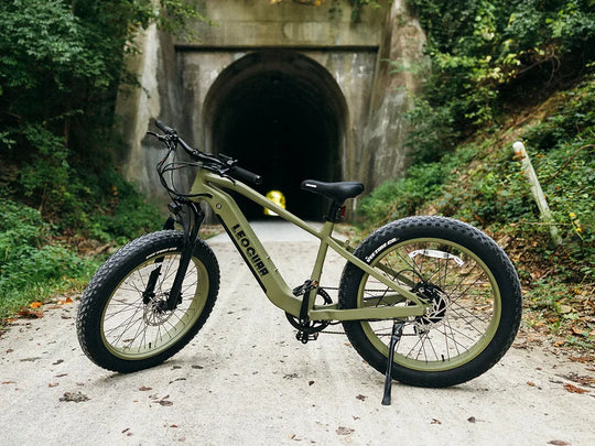 Fathawk SO Fat Tire Ebike