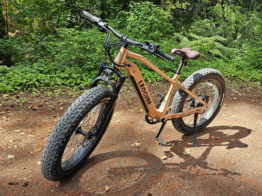 Strider_SO_fat_tire_ebike-3