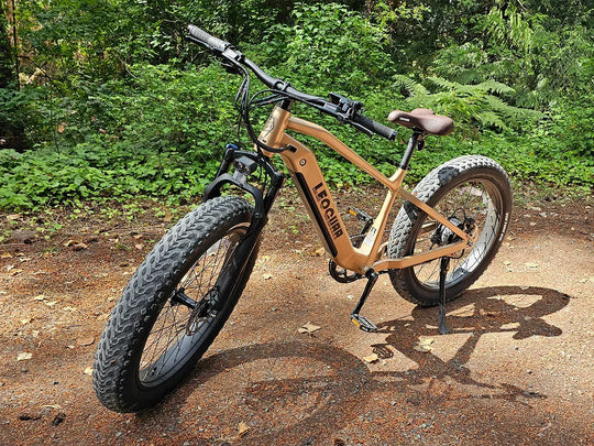 Fathawk SO Fat Tire Ebike