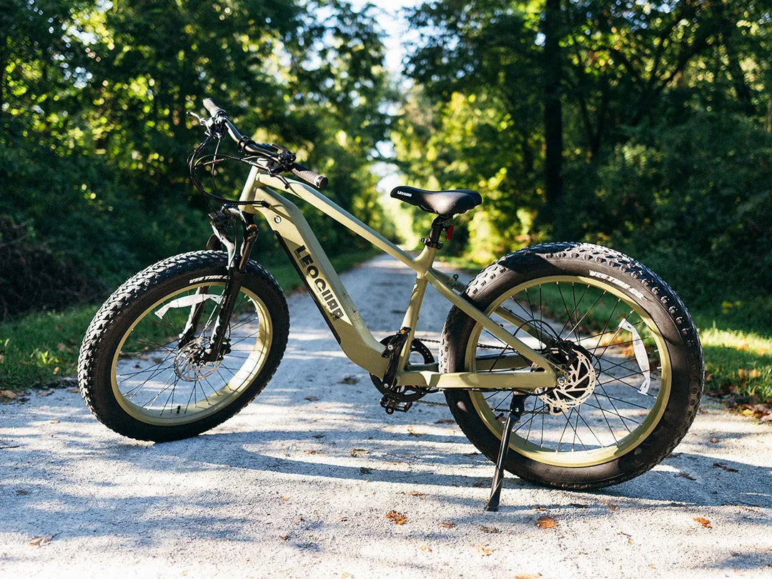 Glide with Fathawk SO Ebike