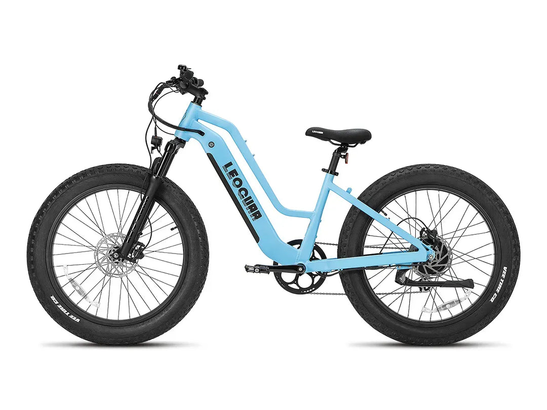 Fathawk  ST Fat Tire Ebike