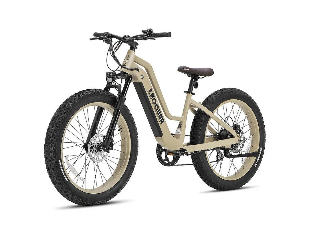 Fathawk  ST Fat Tire Ebike