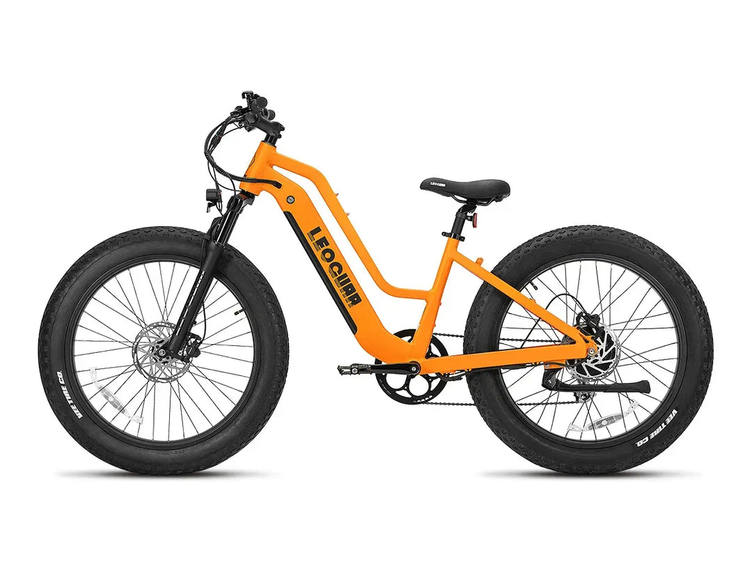 Fathawk  ST Fat Tire Ebike