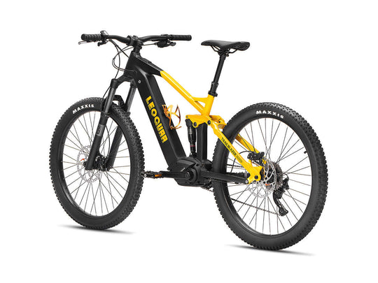 Electric MTB rear drivetrain and suspension view