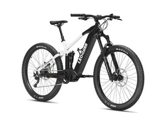 Full suspension EMTB with mid-drive motor