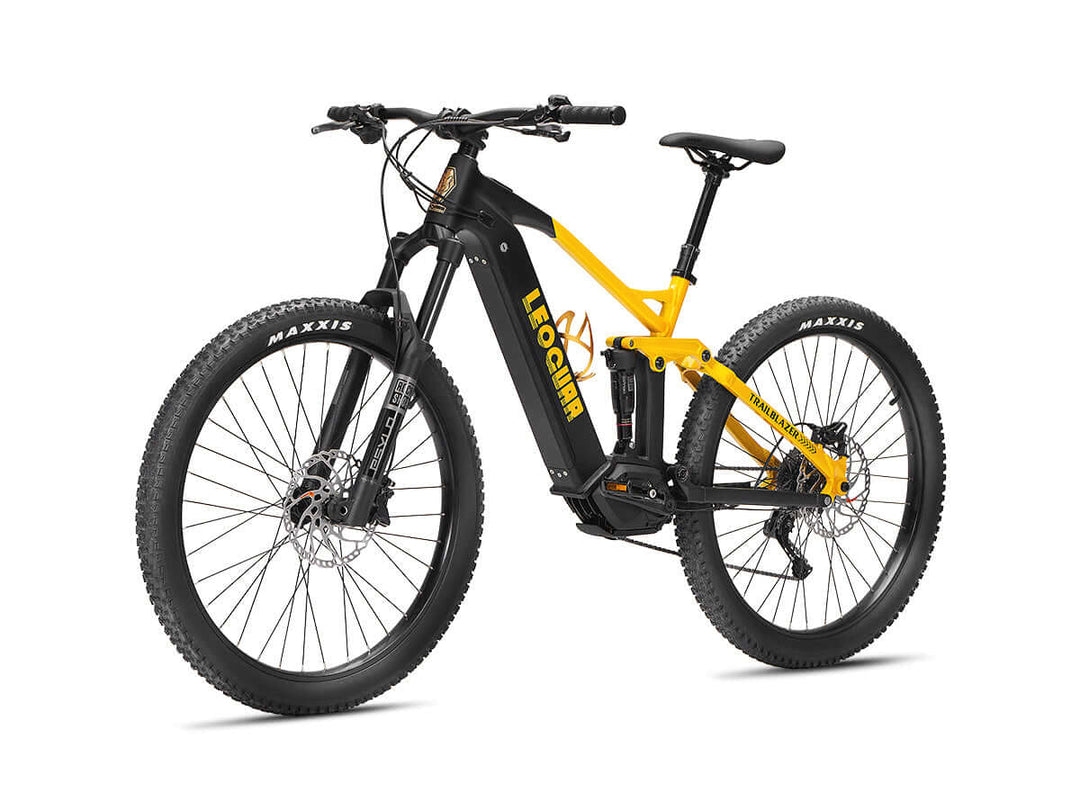 Electric mountain bike with front suspension fork