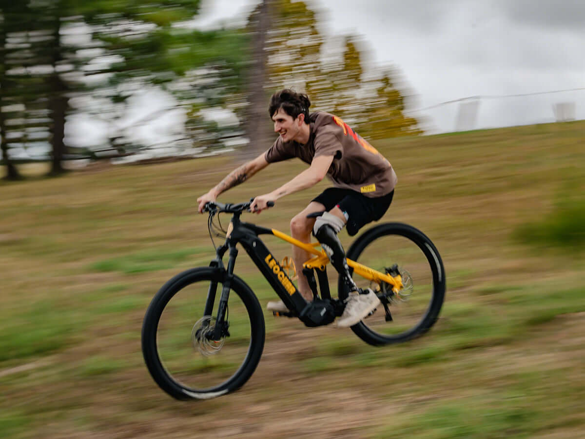 Leoguar Ebikes
