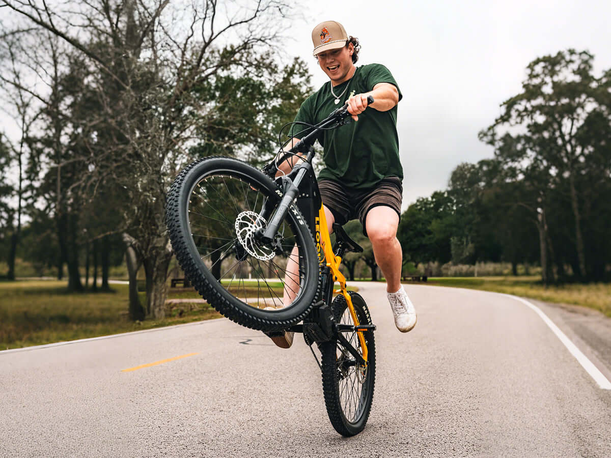 Leoguar Ebikes