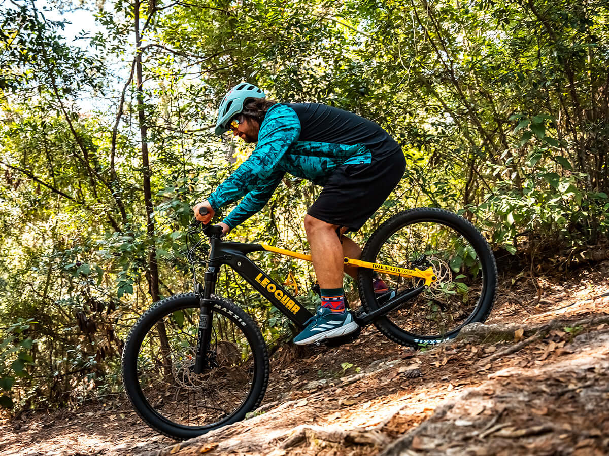 Leoguar Ebikes