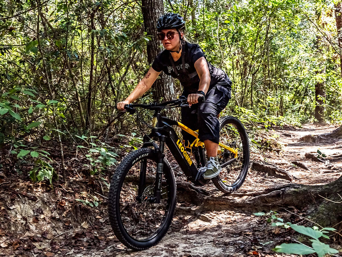 Leoguar Ebikes