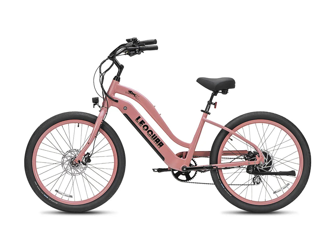 Zephyr ST beach ebike