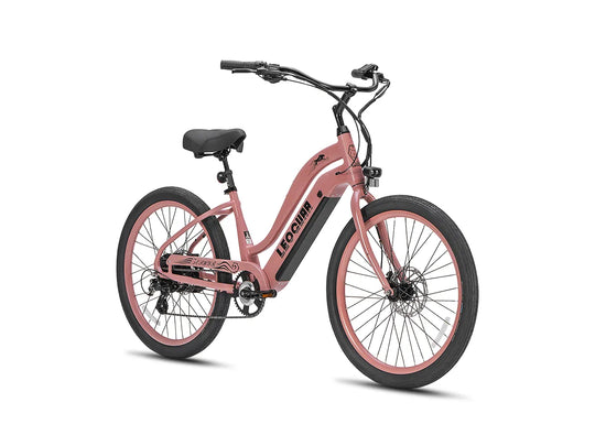 Zephyr ST beach ebike