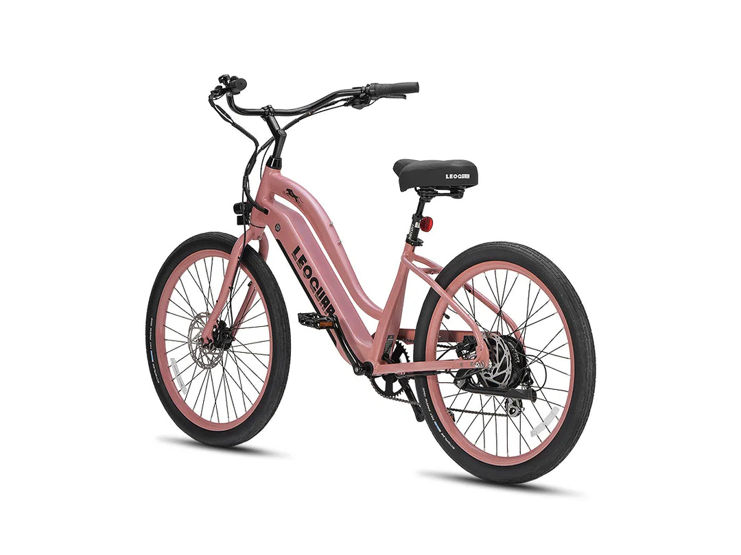 Zephyr ST beach ebike