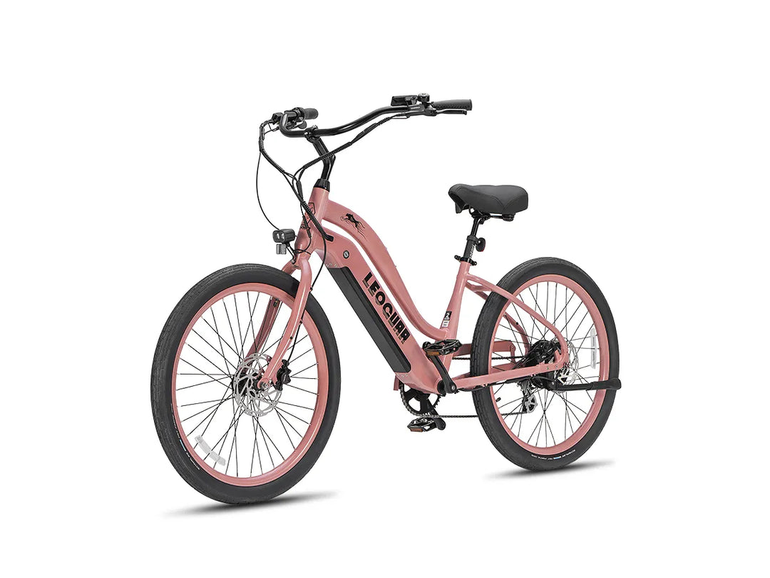 Zephyr ST beach ebike