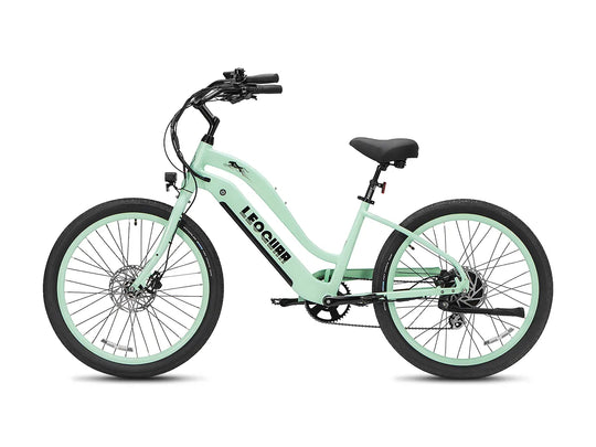 Zephyr ST beach ebike