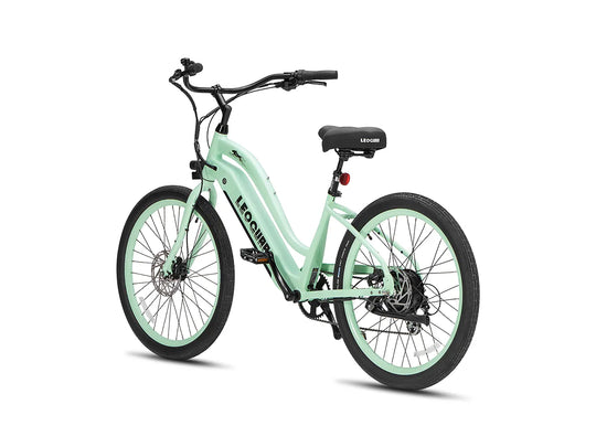 Zephyr ST beach ebike