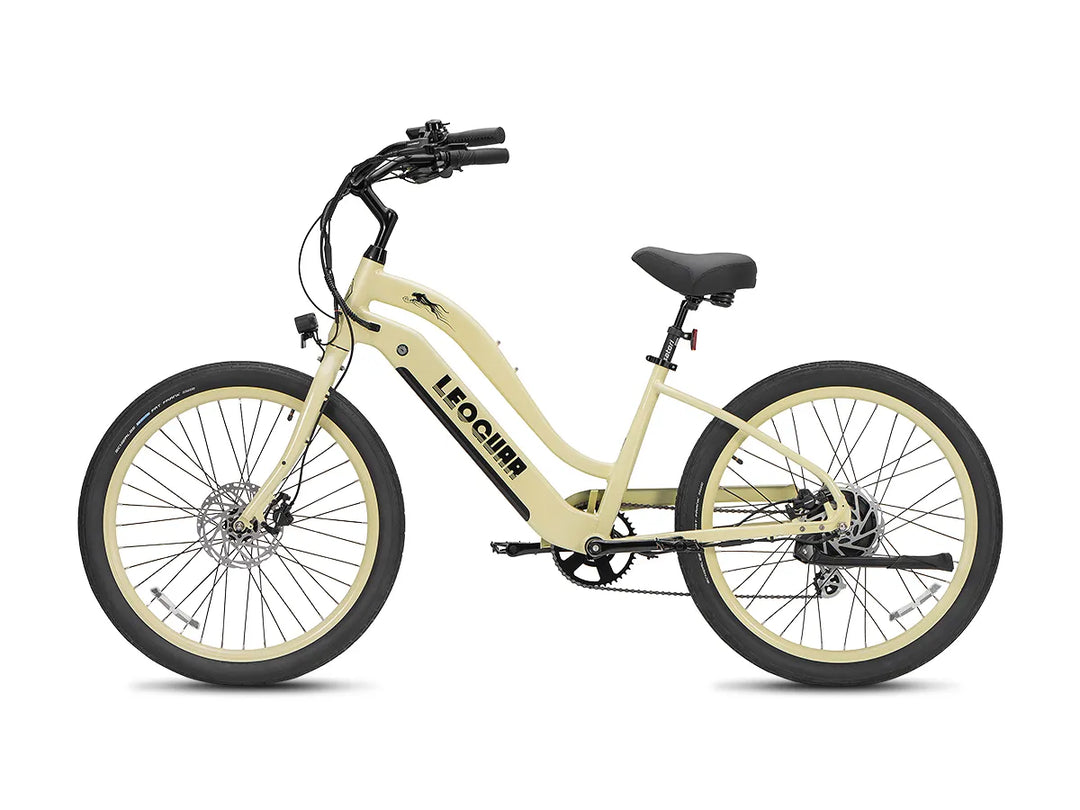 Zephyr ST beach ebike