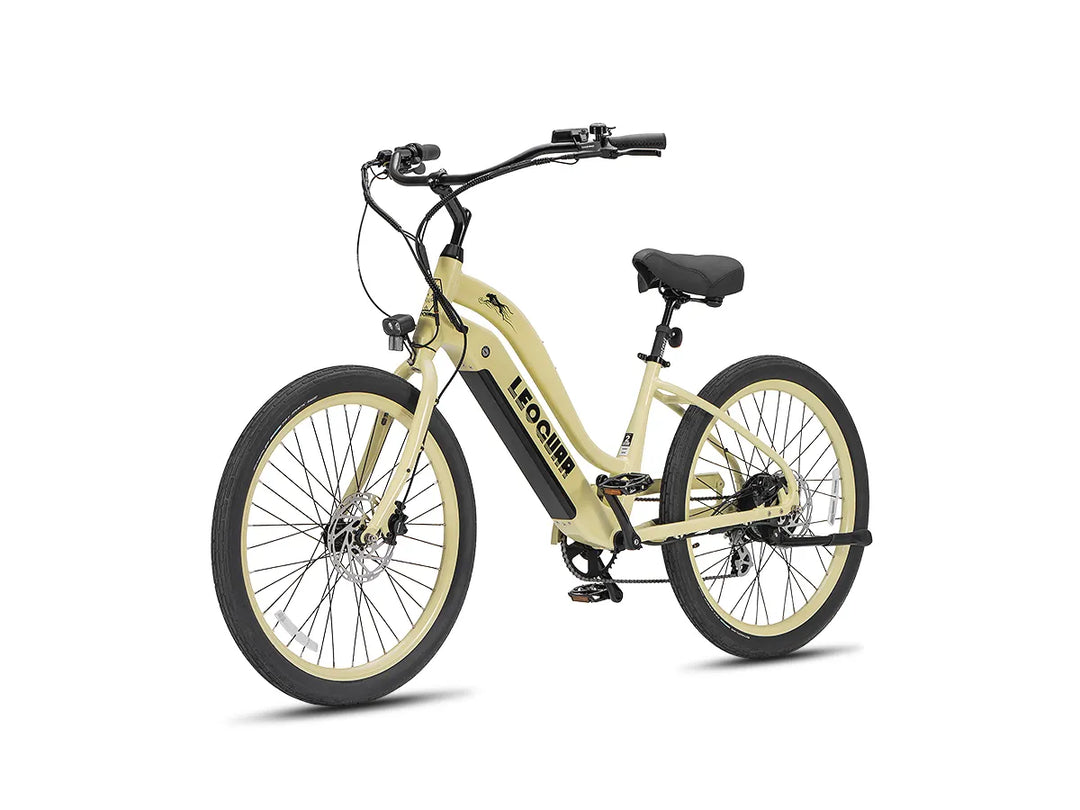 Zephyr ST beach ebike