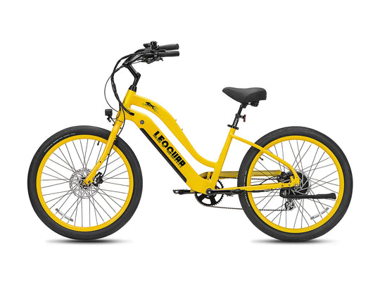 Zephyr ST beach ebike