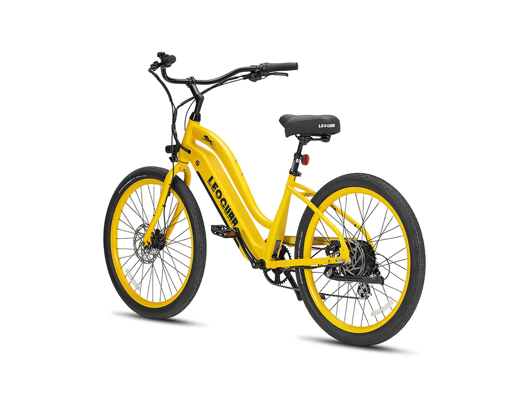 Zephyr ST beach ebike