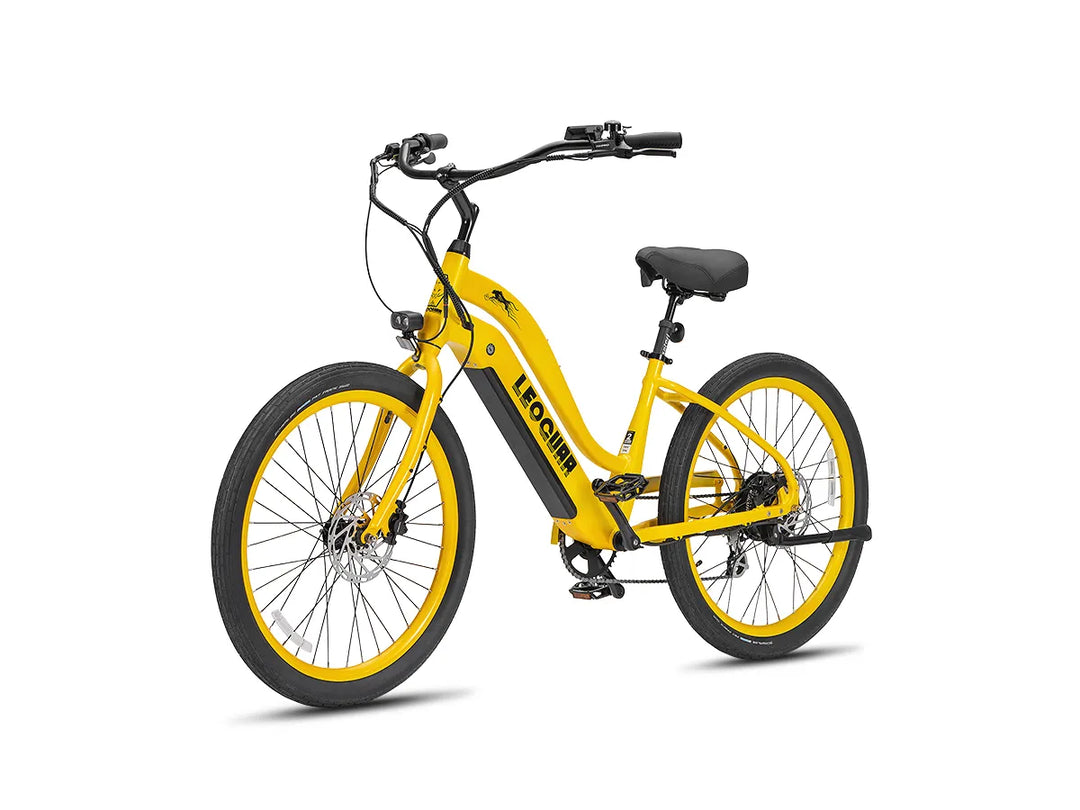 Zephyr ST beach ebike