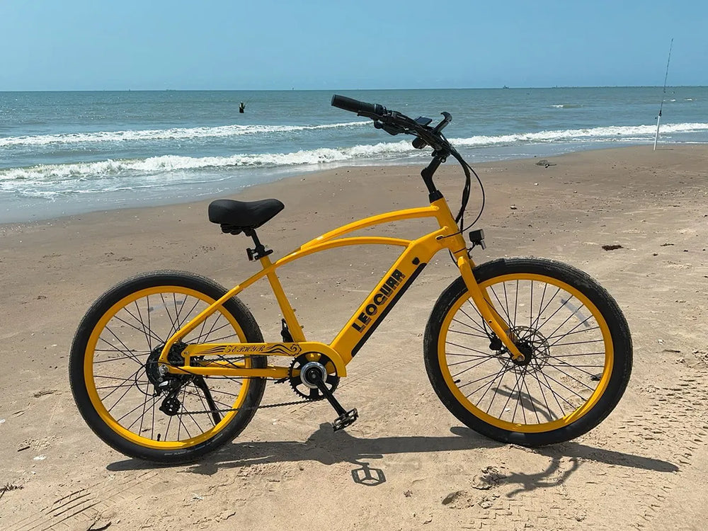 Zephyr SO beach ebike