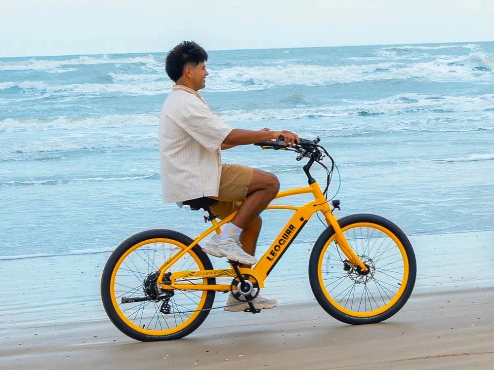 Zephyr SO beach ebike