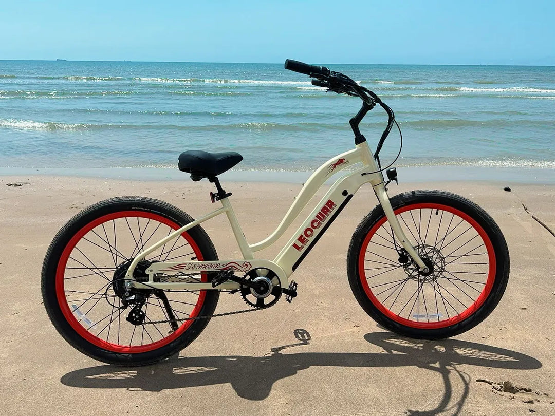 Zephyr ST beach ebike