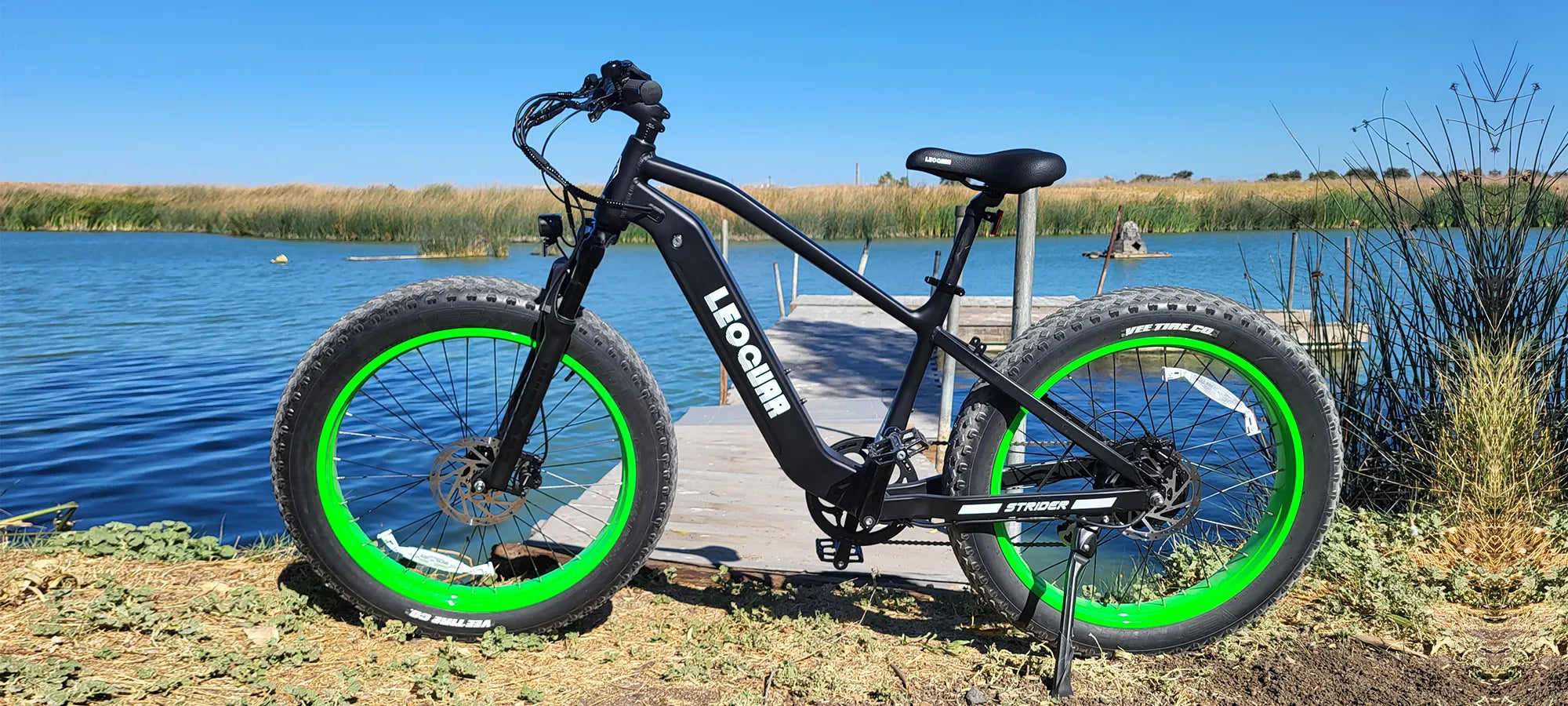 Leoguar electric bike